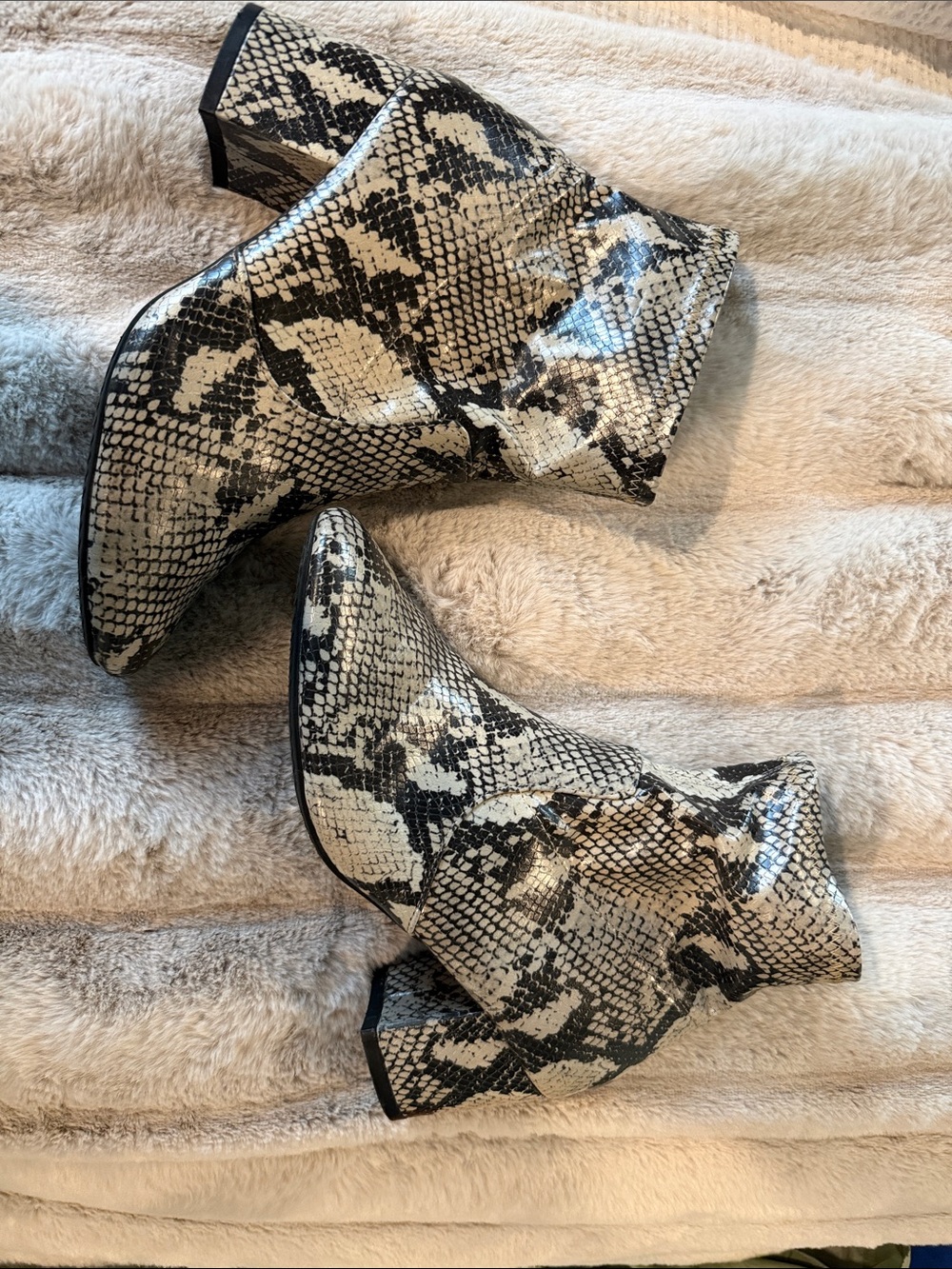 Time and Tru Snake-Print Ankle Boots in Black and Cream
